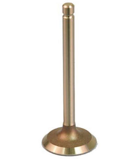 Intake Valve for EZGO Gas Golf Carts 1992-2008 with Pre-MCI Engines