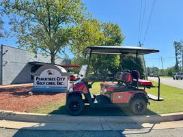 2021 EZGO RXV GEORGIA BULLDOGS - 3 Guys Golf Carts