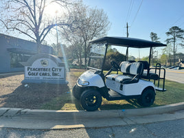 2019 EZGO RXV LITHIUM WHITE SN:493523 - 3 Guys Golf Carts
