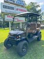 2025 EZGO LIBERTY LITHIUM BLACK SN:658128 - 3 Guys Golf Carts